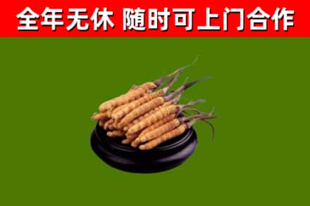 张家川县烟酒回收冬虫夏草.jpg